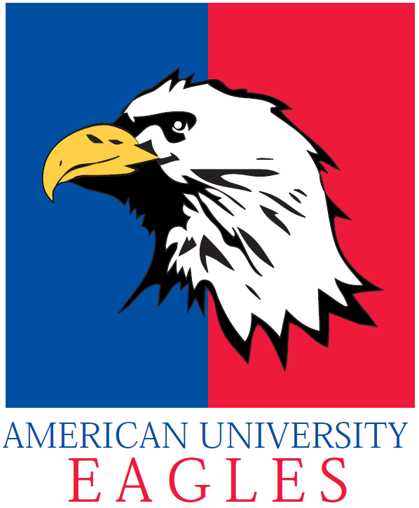 American Eagles 1985-2005 Primary Logo diy iron on heat transfer